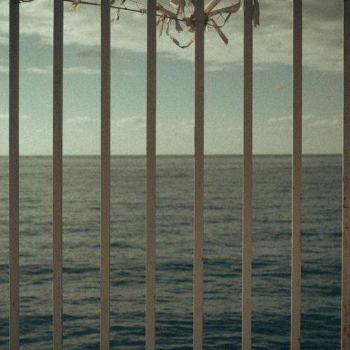 Photo #5296873