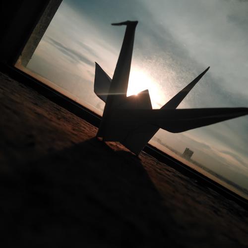 Photo #5297169