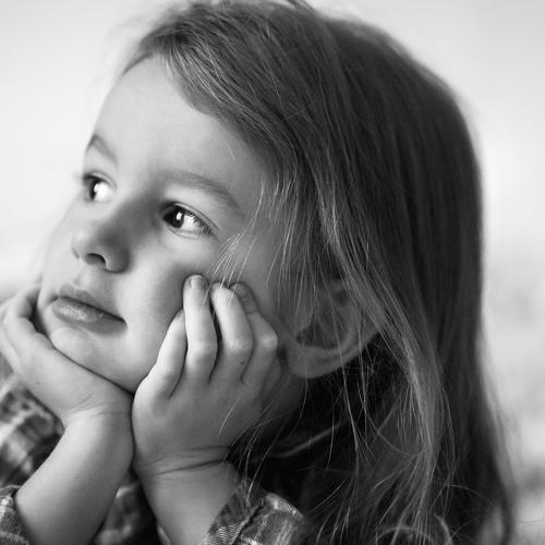 Photo #5297206