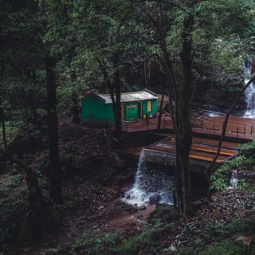 Photo #5297294