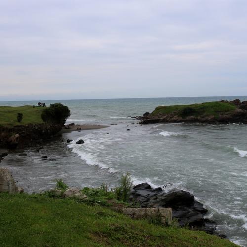 Photo #5297435