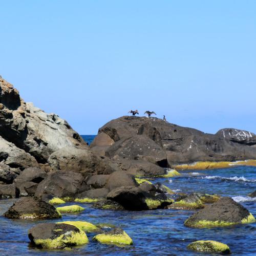 Photo #5297472