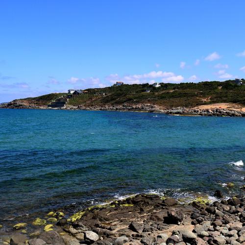 Photo #5297477