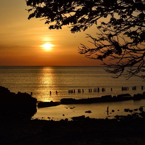 Photo #5297535
