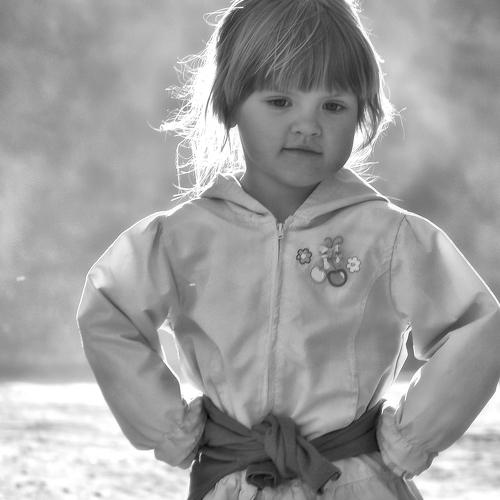 Photo #5297615