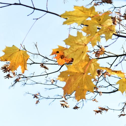 Photo #5297704