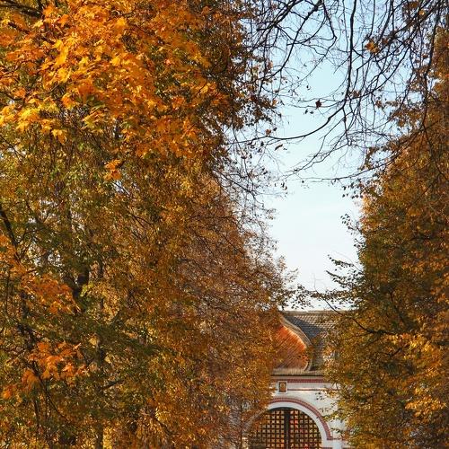 Осень в Коломенском