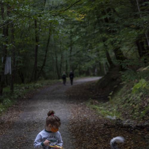 Photo #5298053