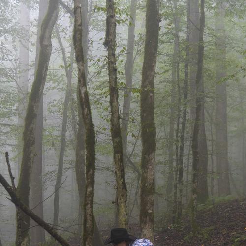 Photo #5298060