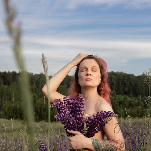 Photo #5298311