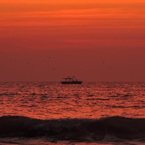 Photo #5298371