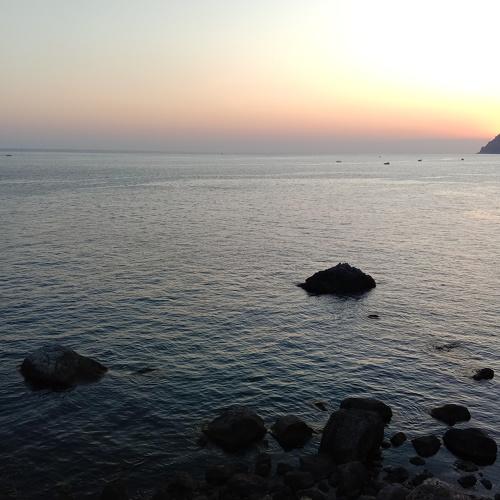 Photo #5298408