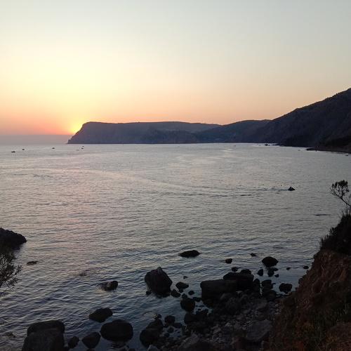 Photo #5298409