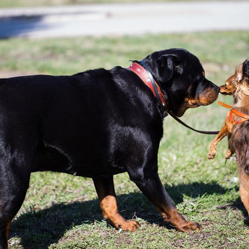 Фотография #5298544