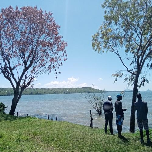 Photo #5298649