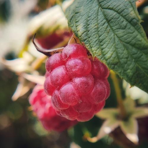Photo #5298690