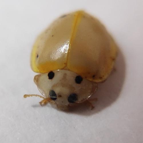 Photo #5299138