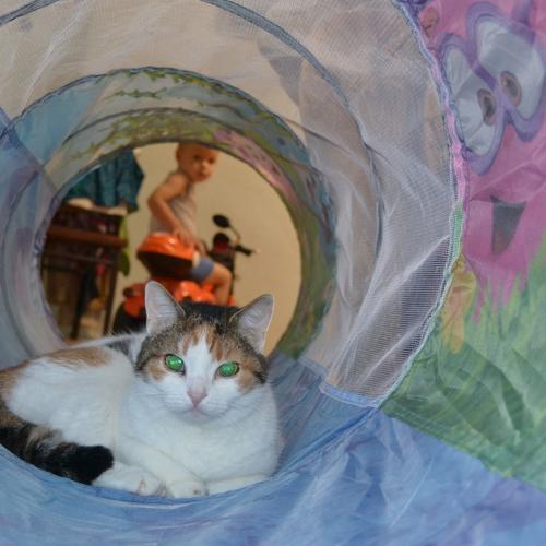 Photo #5300051