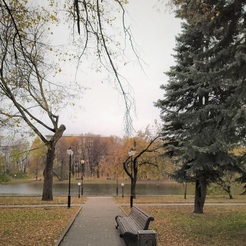 Photo #5300273