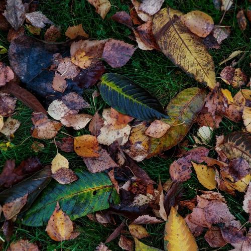 Photo #5300283