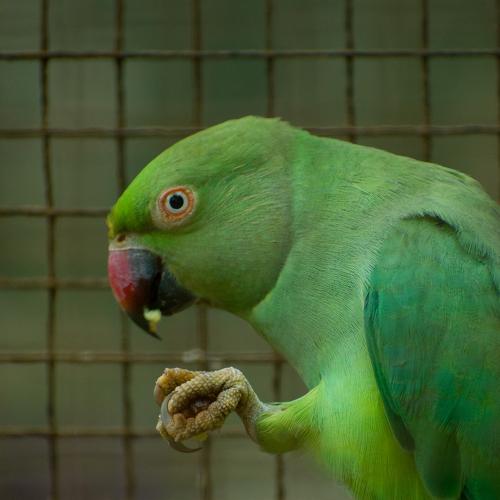 Photo #5300349