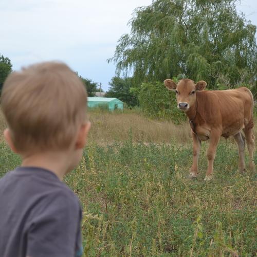 Photo #5300416