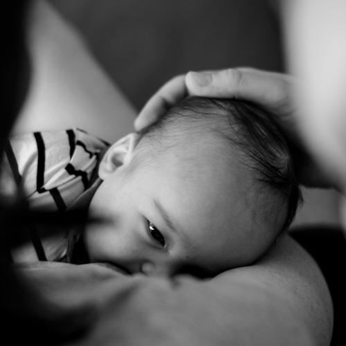 Photo #5300482