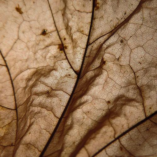 Photo #5300733