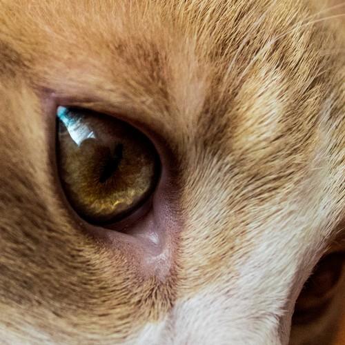 Photo #5300993