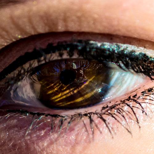 Photo #5301001