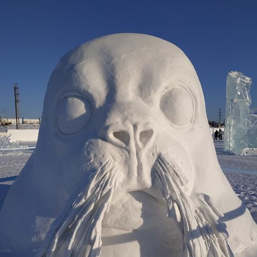 Photo #5301495