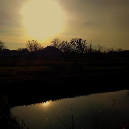 Photo #5301551