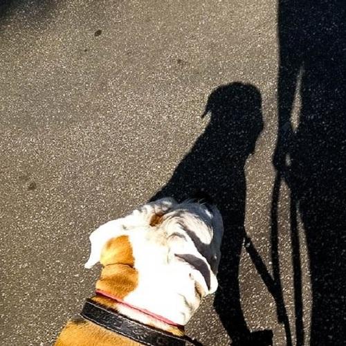 Passeio