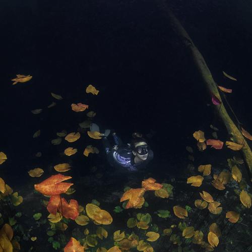 Фотография #5301954