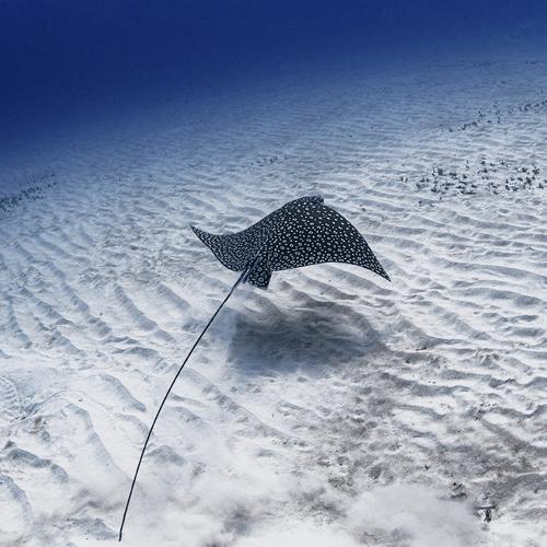 Фотография #5301973