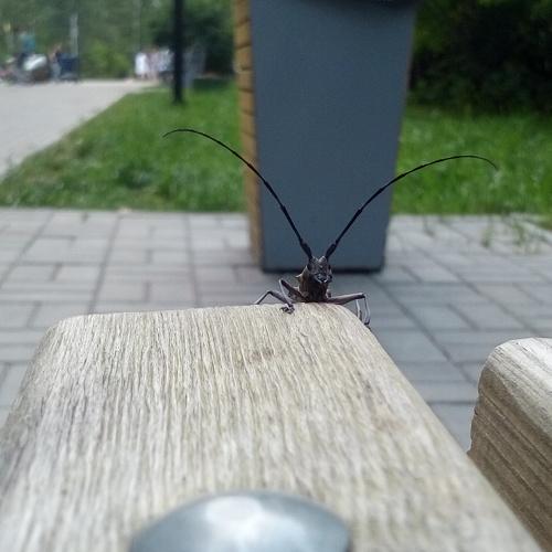 Photo #5302504