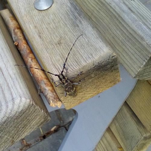 Photo #5302515