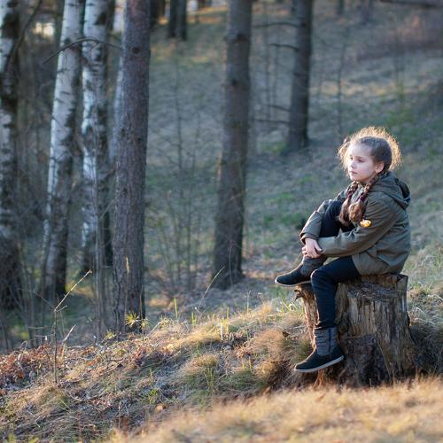 Photo #5302655