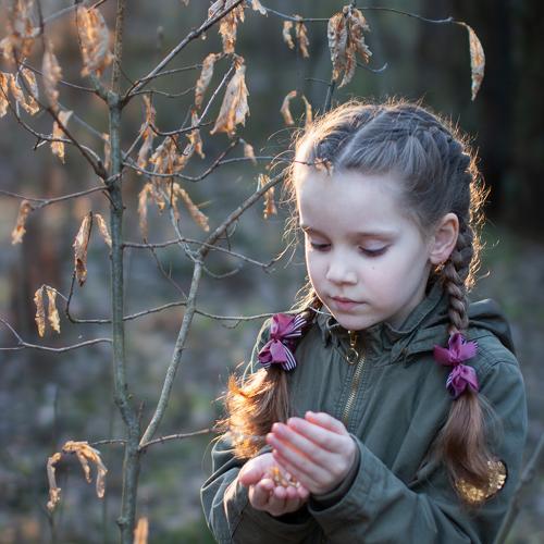 Photo #5302847