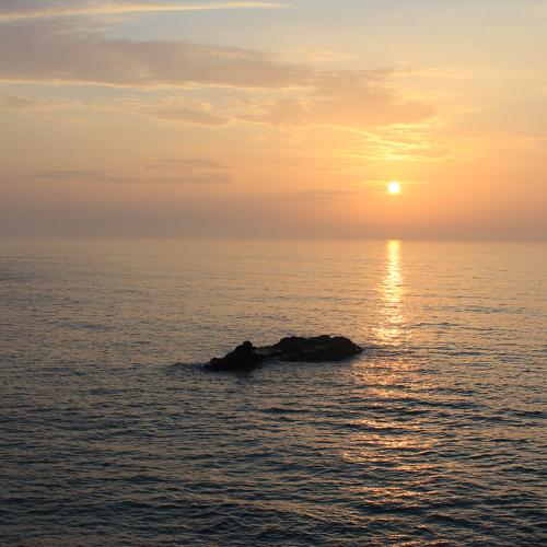 Photo #5302944