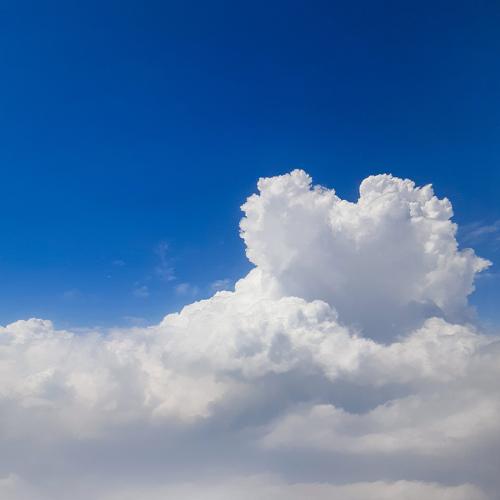Photo #5303156