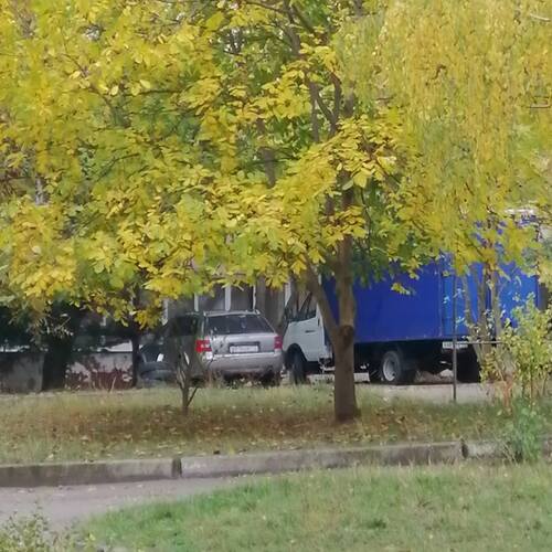 Photo #5303553