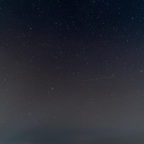 Photo #5303918