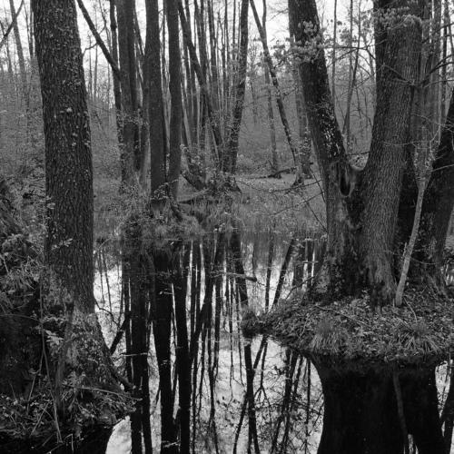 Photo #5303974