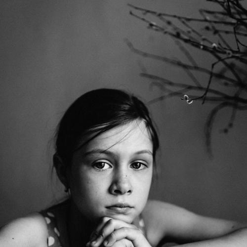 Photo #5304387
