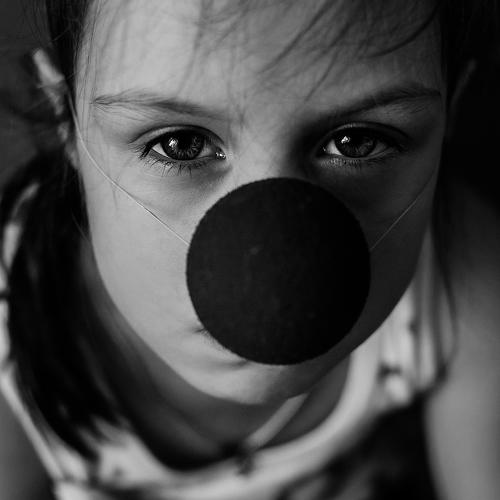 Photo #5304391