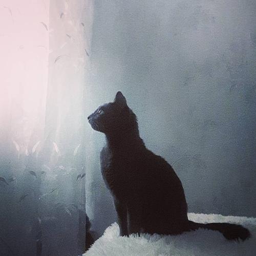 Photo #5304420
