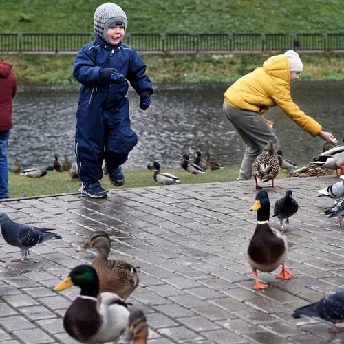 Догонялки / Catch-up