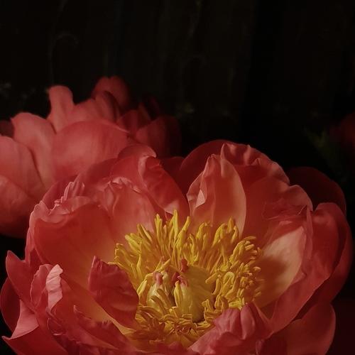 Photo #5304819