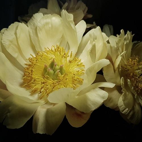 Photo #5304840